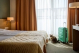 10 Pet-Friendly Hotels in St. George, Utah (2024 Update)