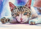 15 Renowned Cat Paintings You’ll Love (with Pictures)