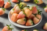 Can Dogs Eat Pineberries? Vet-Reviewed Facts & FAQ  – Dogster