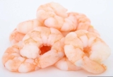 Can Dogs Eat Shrimp? Vet-Reviewed Dietary Facts