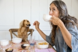 Can Dogs Have Almond Milk? – Dogster