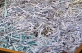 Can Shredded Paper Be Used as Cat Litter? Vet Approved Advice