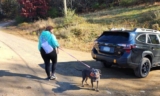 Dog Who Stayed At Shelter For 7 Years Gets Adopted By Woman She Has Touching Ties With