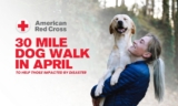 Help Those In Need By Joining The Red Cross’ 30 Mile Dog Walking Challenge This April