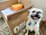 How Much Does Ollie Fresh Dog Food Cost? 2024 Price Guide – Dogster