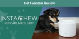 Instachew Purrflow Smart Pet Fountain Review: Our Expert’s Opinion