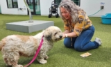 Owner Who ‘Never Lost Hope’ Reunites With Dog Who Went Missing For 10 Years