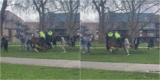 Police Horse In London Sustains Multiple Injuries After Dog Attack