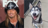 Rock Star Bret Michaels Adopts Blood Donor Dog With The Same Name As Him