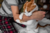 Why Is My Cat Grabbing My Hand and Biting Me? 6 Likely Reasons